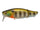 GLX Galaxy Gill