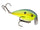 Chartreuse Sexy Shad