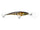 Yellow Perch
