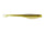 Golden shad