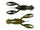 California Craw