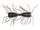 Dark Cinnamon Black Blue