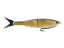 Golden shiner
