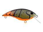 Berkley Shallow Money Badger