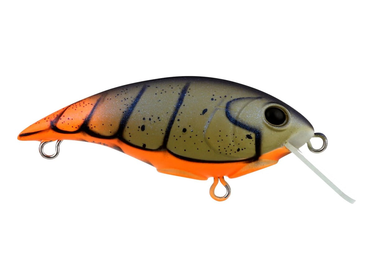 Berkley Shallow Money Badger