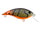 Firetail Green Craw