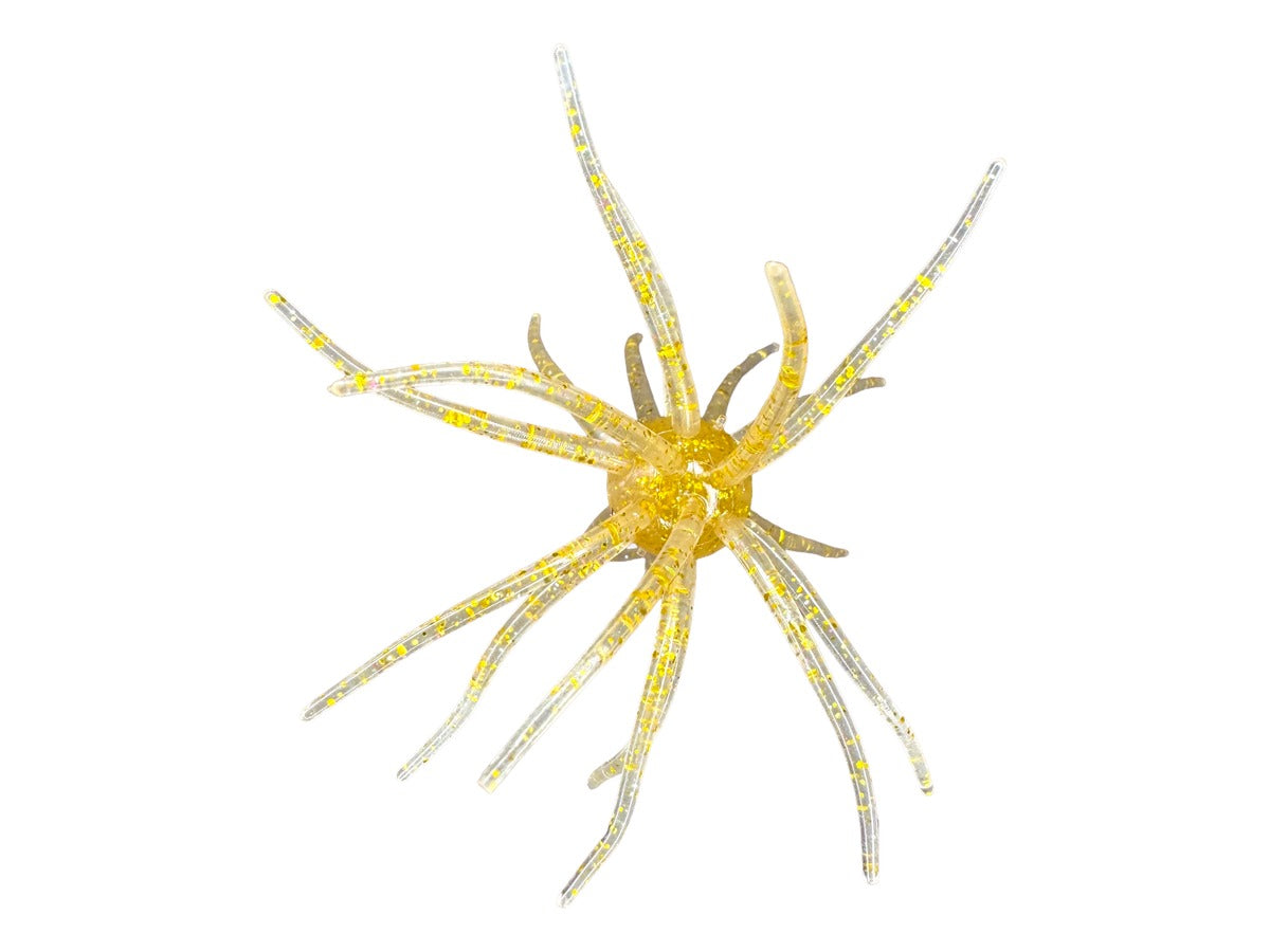 Hag’s baits prickly pear