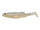 White Back Shad