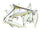 Chartreuse Shad
