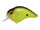 Black Back Chartreuse