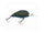 Blue Craw
