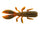 Watermelon Copper Orange Red