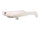 Albino Pearl Shad