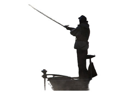 Umbrella Rig Accessories