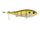 MF Bluegill