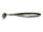 Silver flash Minnow