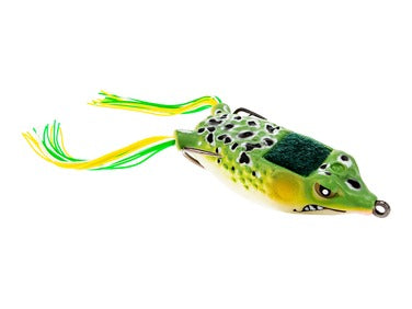 Stanford Boom Boom Frog