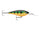 Perch