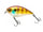 Natural bluegill