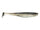 Baitfish