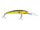Yellow Perch