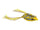 Rainforest yellow