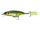 Neon Sunfish