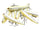 Bone Shad