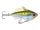 Yellow Perch