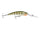 Flash Yellow Perch