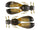 Green Pumpkinseed