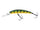 Green perch