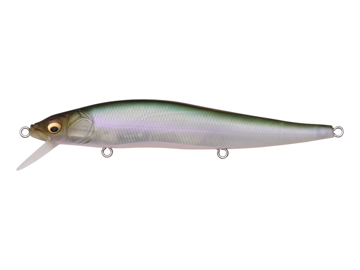 Megabass Vision 110