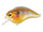 PM Gill