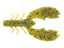 Summer Craw