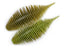 Gripan Chartreuse  220