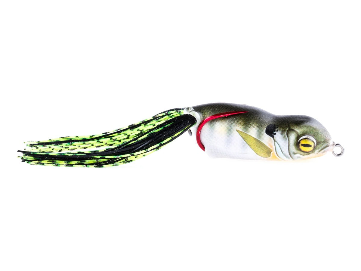Scum Frog Launch Frog XS