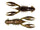 Canada Craw