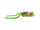 Green Pumpkin