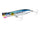 Sardine