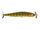 Gold Perch