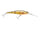 Hd YellowPerch