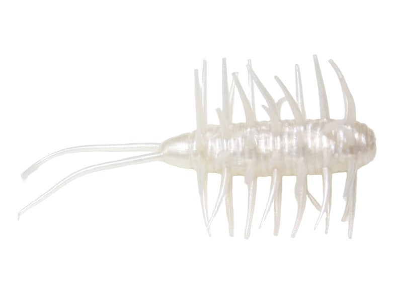 Hide Up Coike Shrimp Magnum