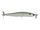 American Shad
