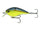 Sexified Chartreuse Shad