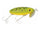 Frog/Yellow Belly 07
