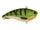 Chrome Perch
