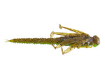 FishLab Nymph
