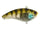 Ghost Chrome Gill