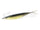 #22 Golden shiner